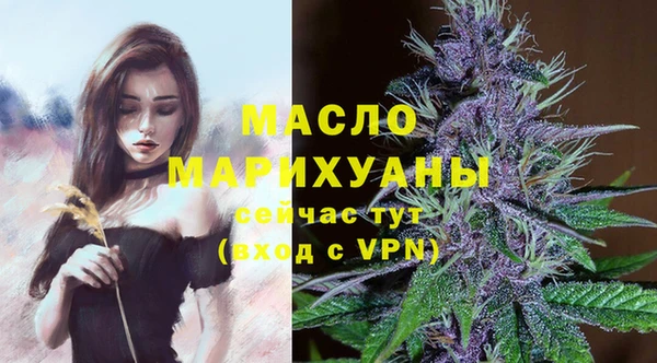 дмт Горняк