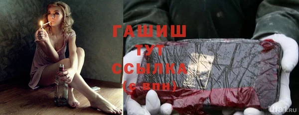 дмт Горняк