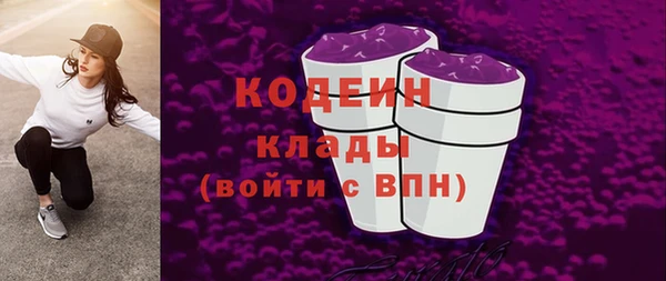 стаф Вяземский