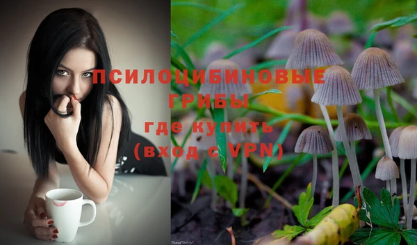 дмт Горняк